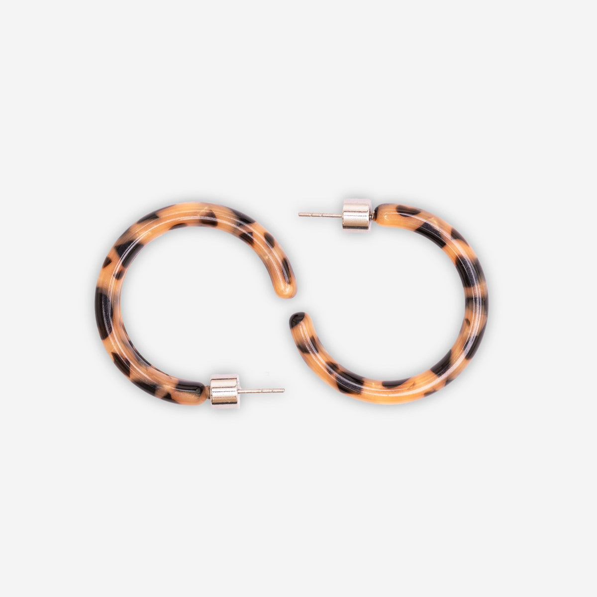 sasstie - Ohrringe - Loop Cookie