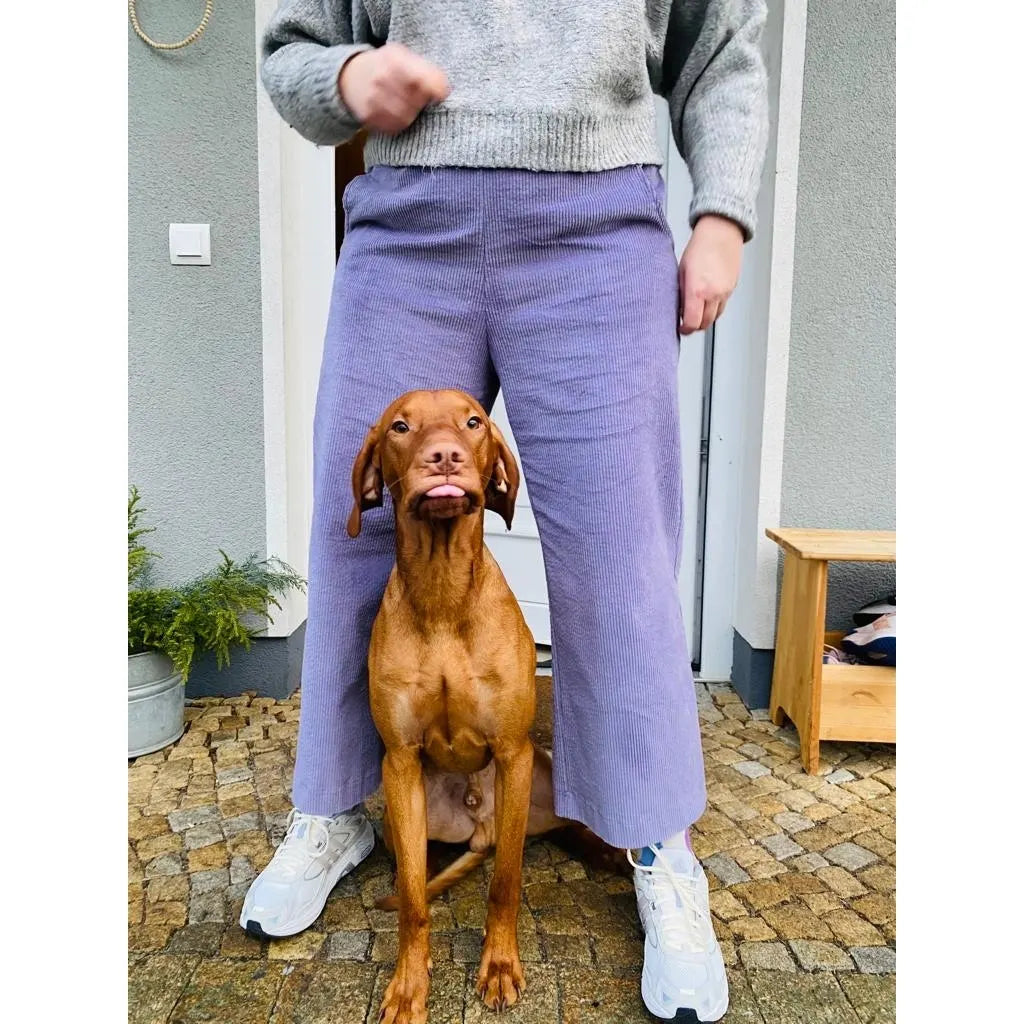 Studio du. CORDULA Cord Culotte Ladies gräuliches flieder