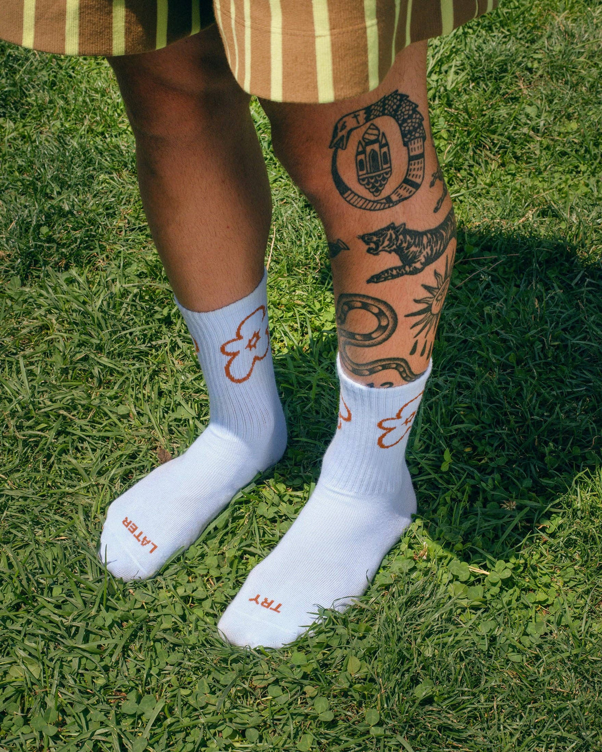 Tarta Gelatina "Try Later" Socken