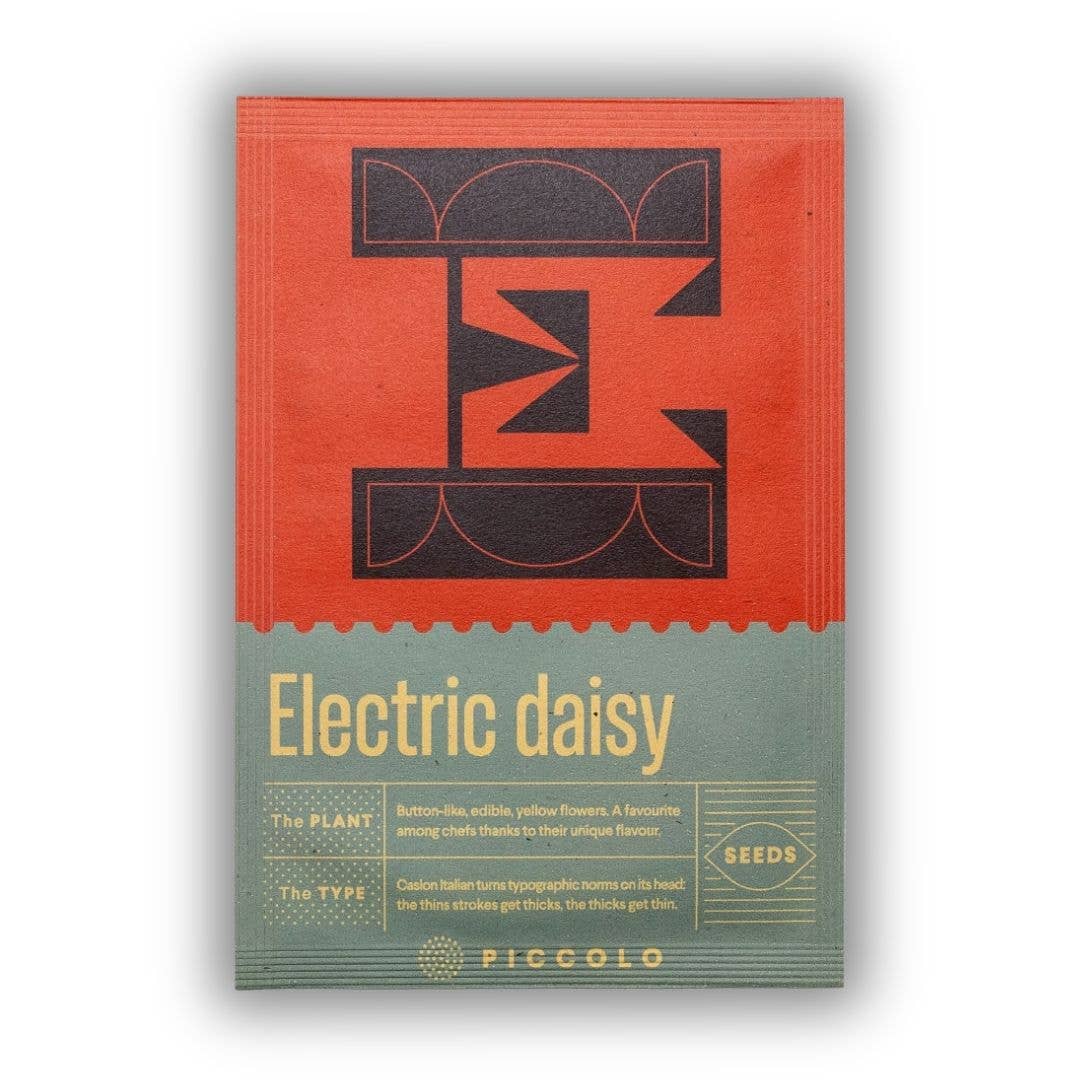 E - Electric Daisy  Piccolo Seeds