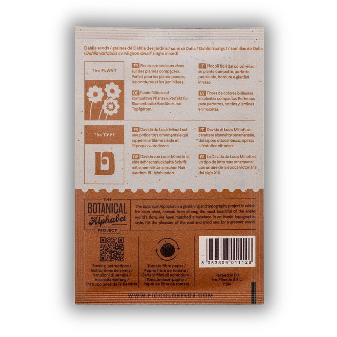 D - Dahlie  Piccolo Seeds