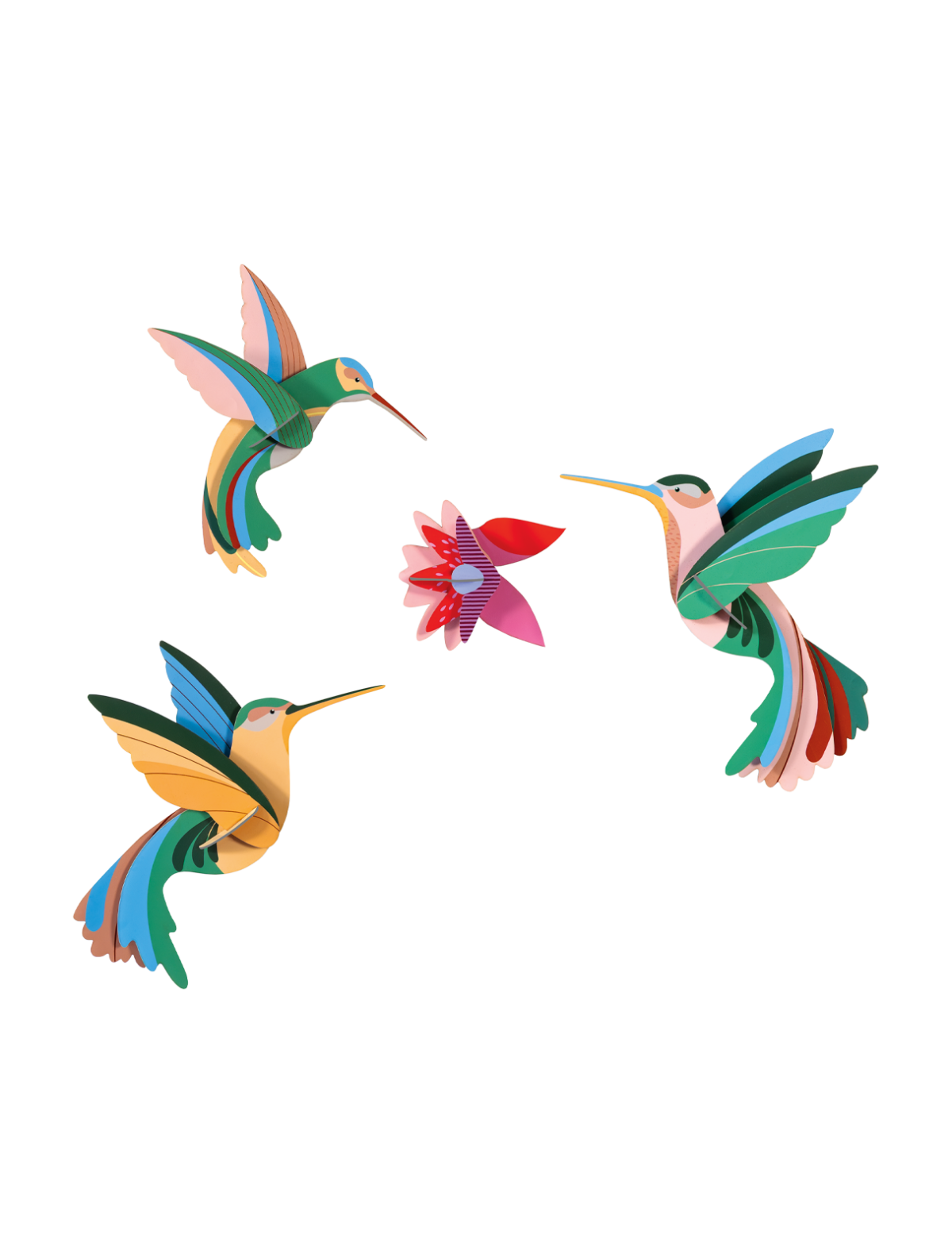 Studio ROOF 'Dance of Hummingbirds'