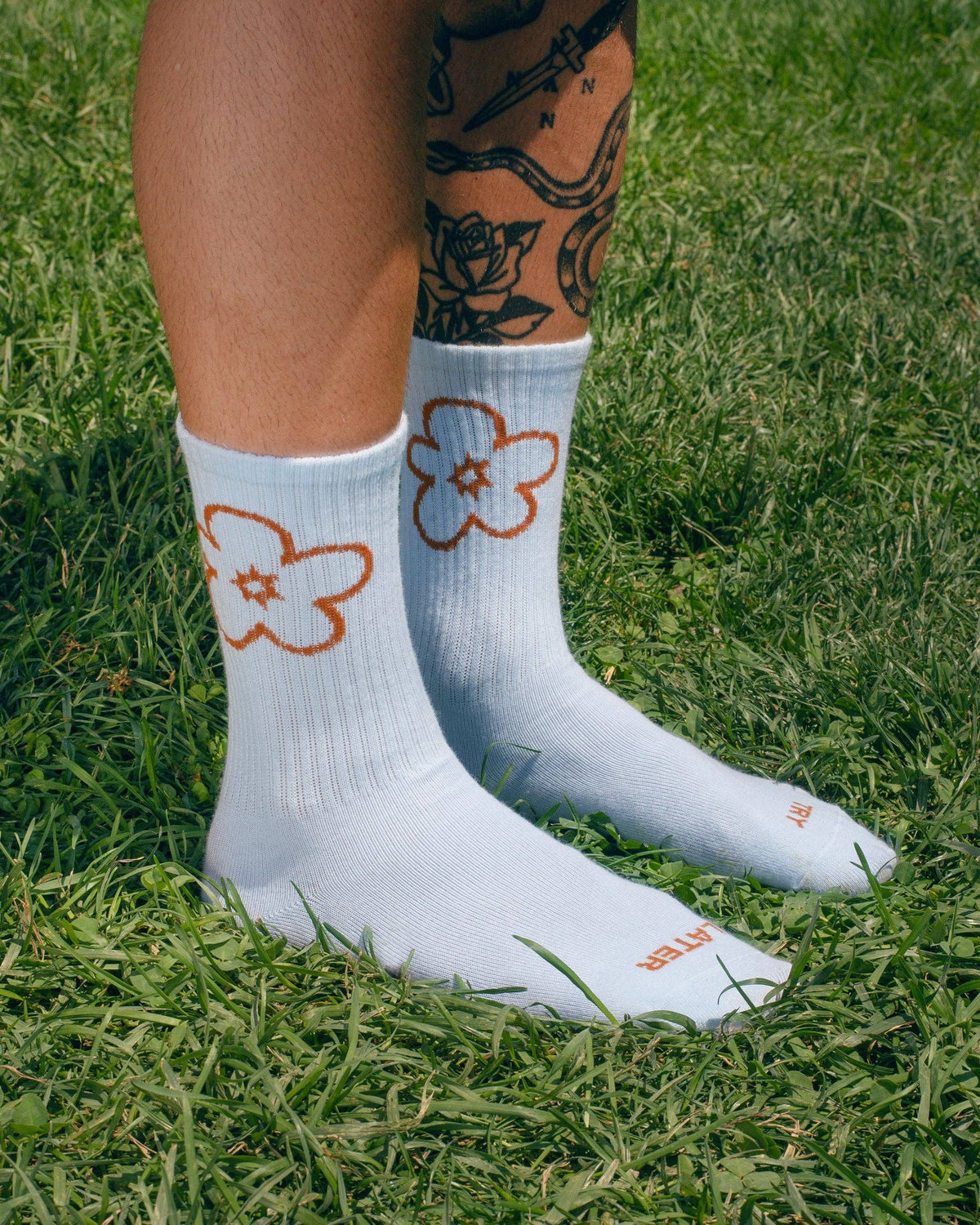 Tarta Gelatina "Try Later" Socken