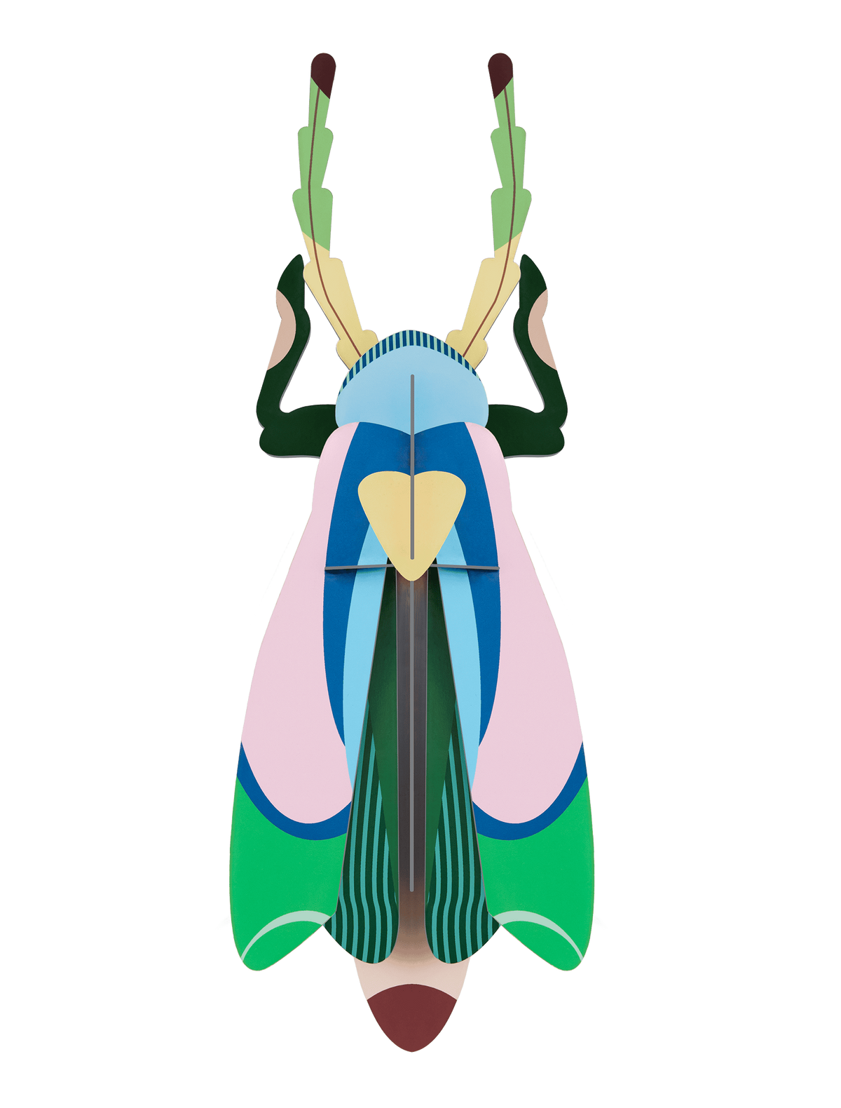 Studio ROOF 'Big insects - Sakura Beetle'